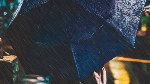 photo of person holding an umbrella