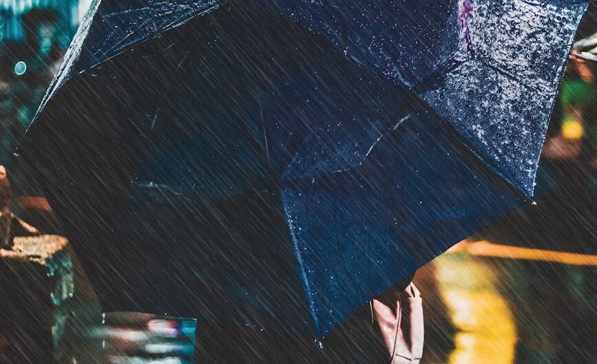 photo of person holding an umbrella
