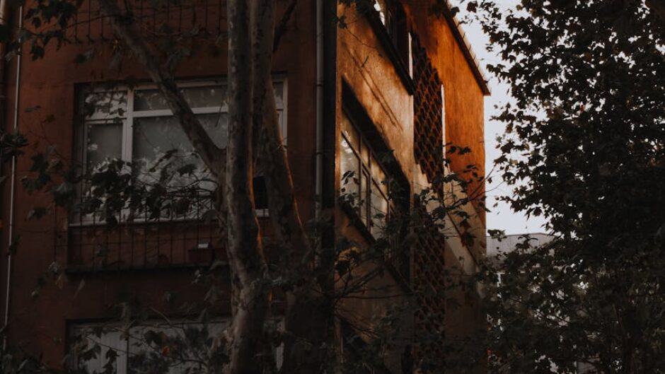 brown concrete building near green trees