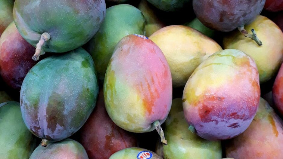 assorted color mangoes