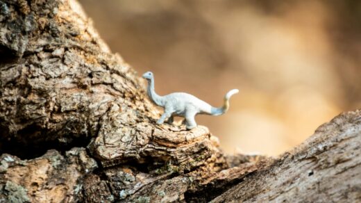 gray dinosaur toy on rock